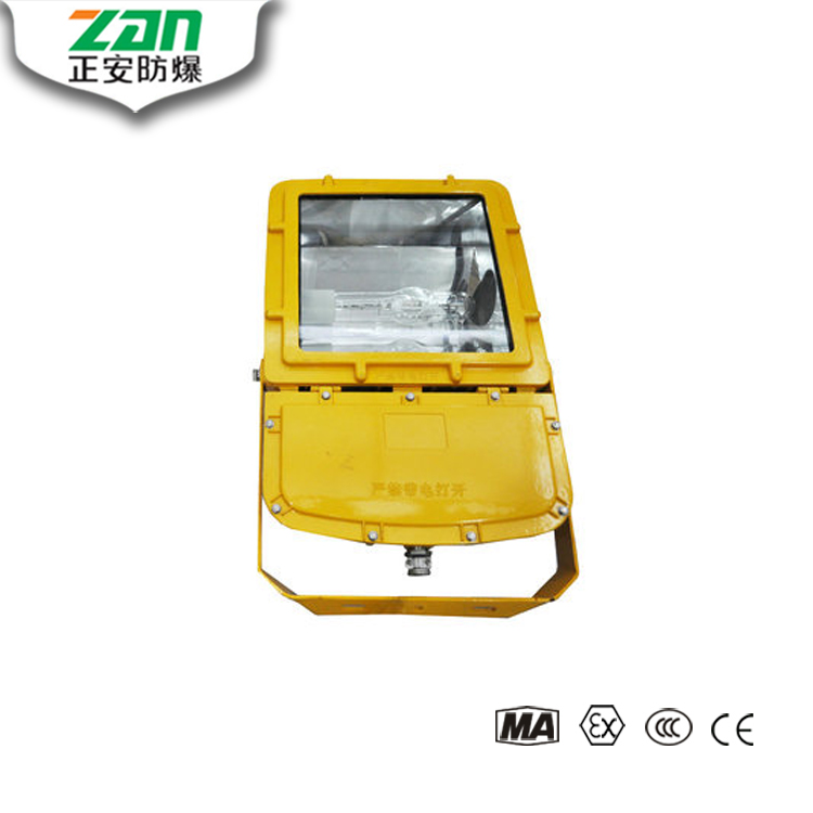 BFC8110防爆泛光燈產(chǎn)品大圖